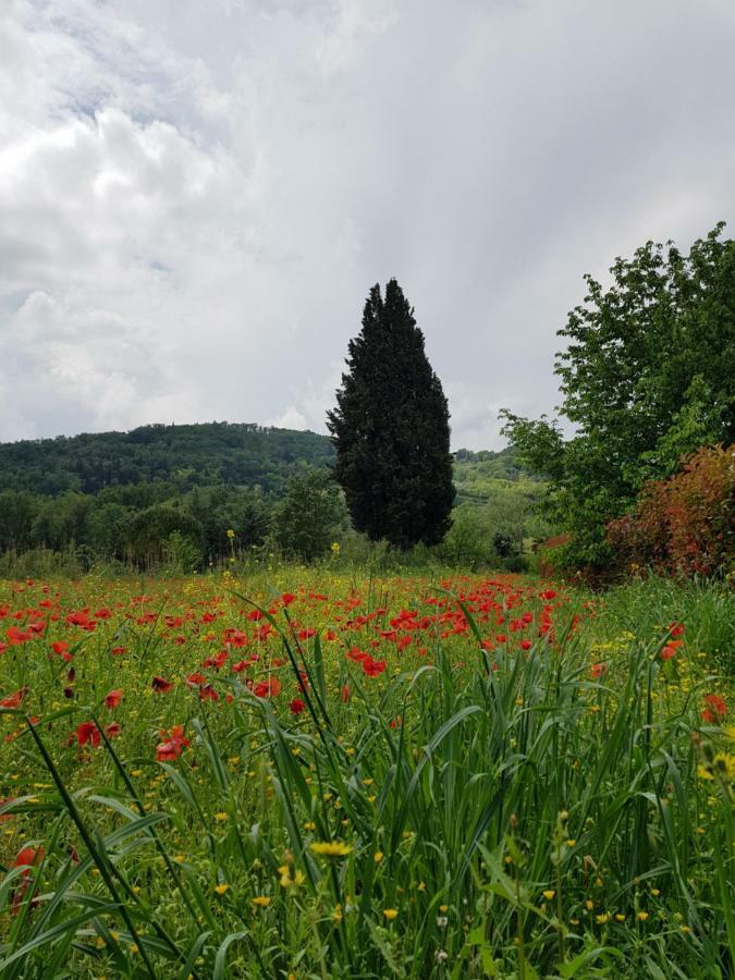 Villa Sweet In Chianti Tavarnelle Val di Pesa Exterior foto